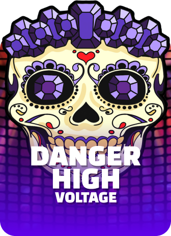 Danger High Voltage